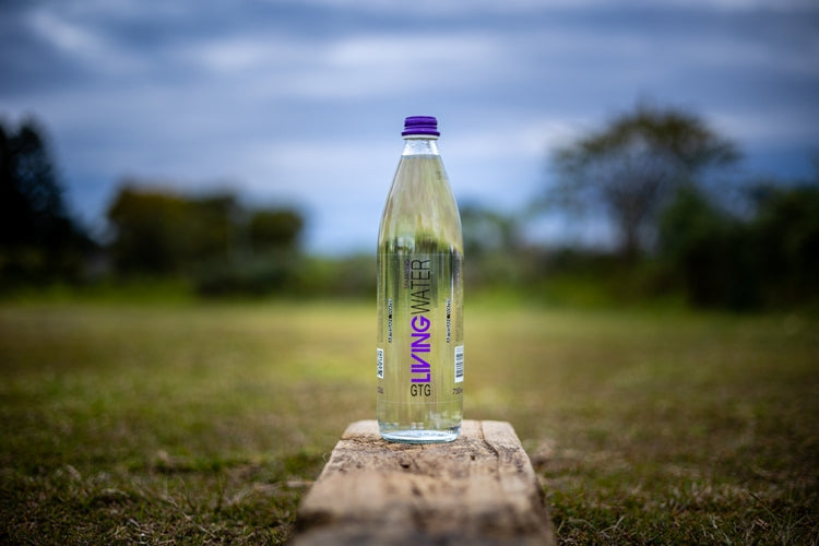 Can Glass Packaging for our Sparkling Water Bottles be the best alternative to the Plastic Packaging?